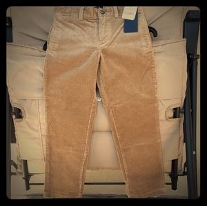 Polo ralph lauren pant